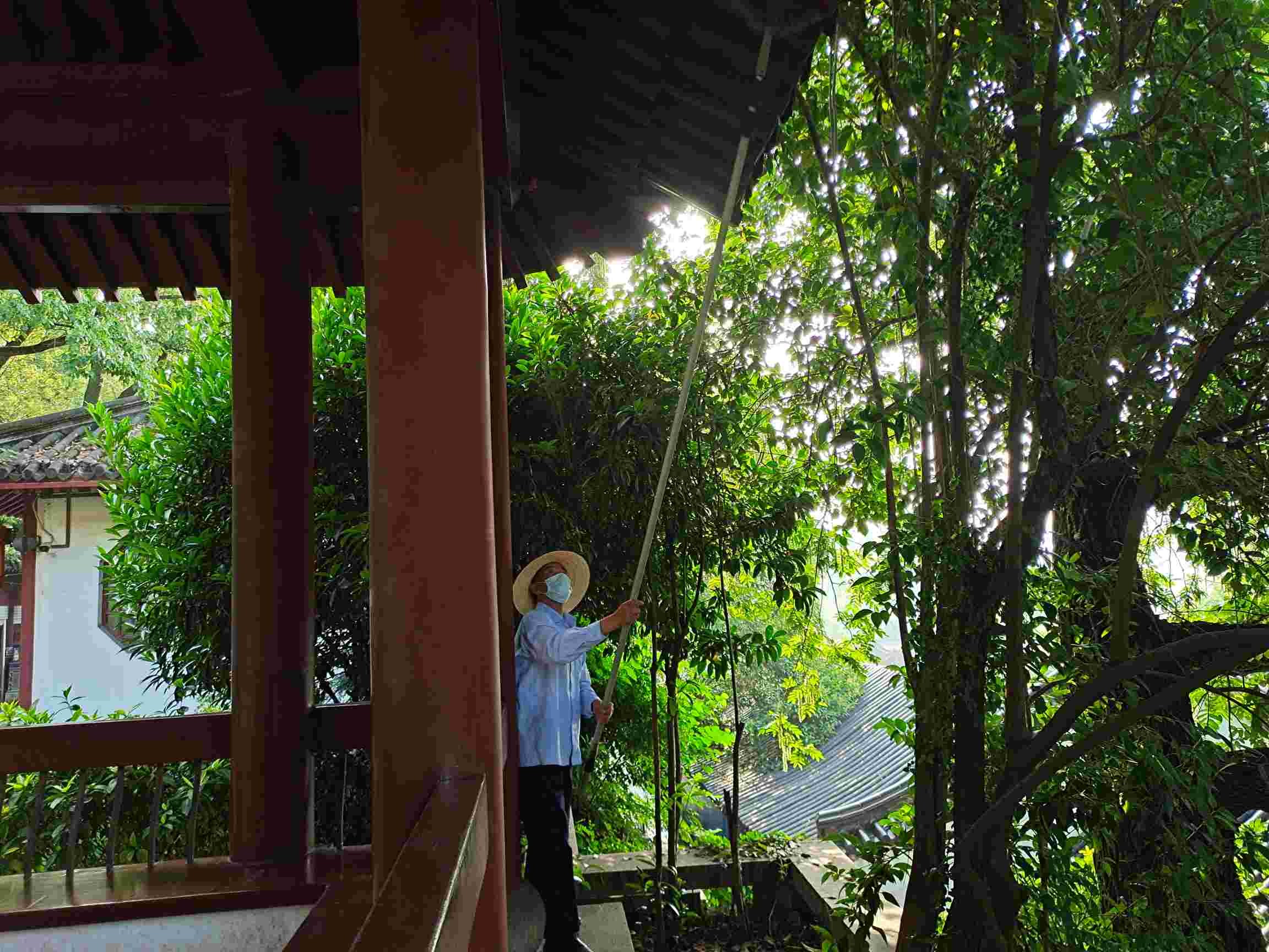 道路清掃服務(wù)能夠?qū)崿F(xiàn)路面全新清潔