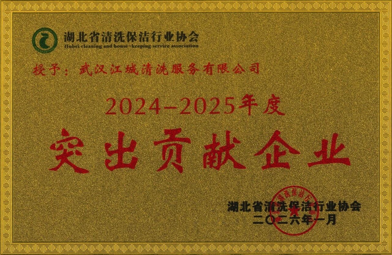 江城清洗—突出貢獻(xiàn)企業(yè)